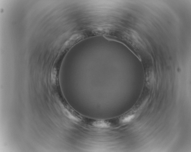 X0000088430231200705221255