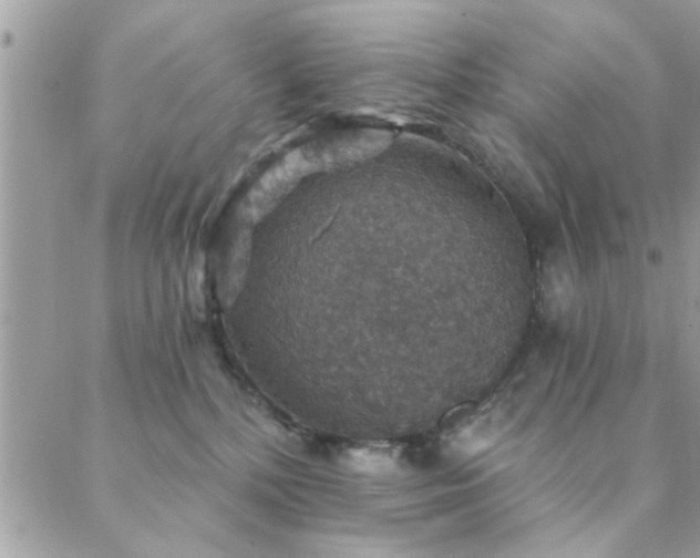 X0000088430232200705221255