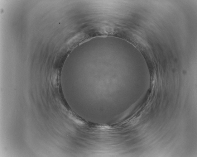 X0000088430233200705221255