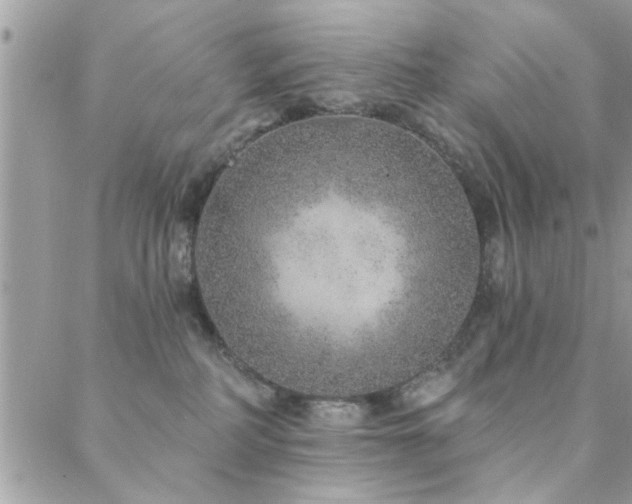 X0000088430234200705221255