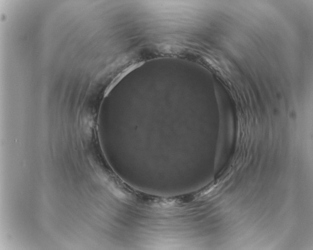 X0000088430235200705221255