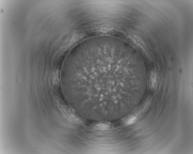 X0000088430236200705221255