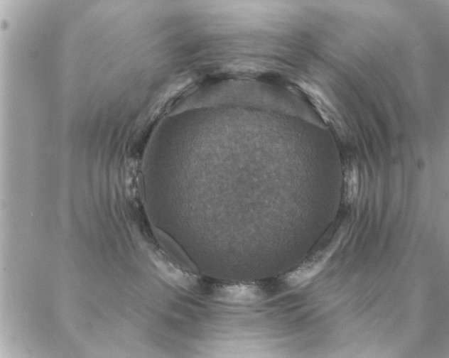 X0000088430237200705221255