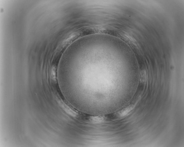 X0000088430238200705221255