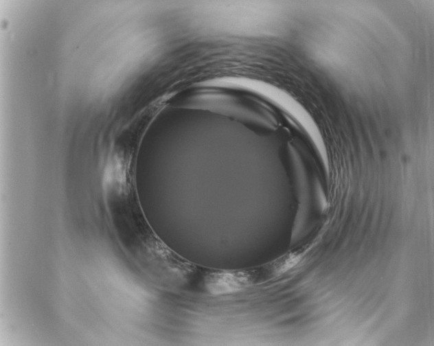 X0000088430239200705221255