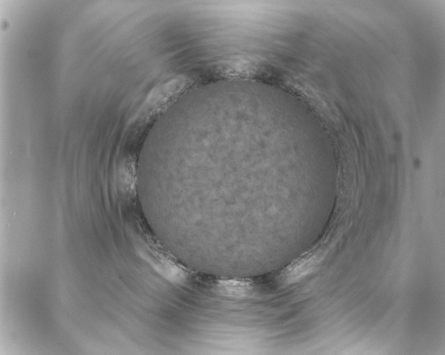 X0000088430240200705221255