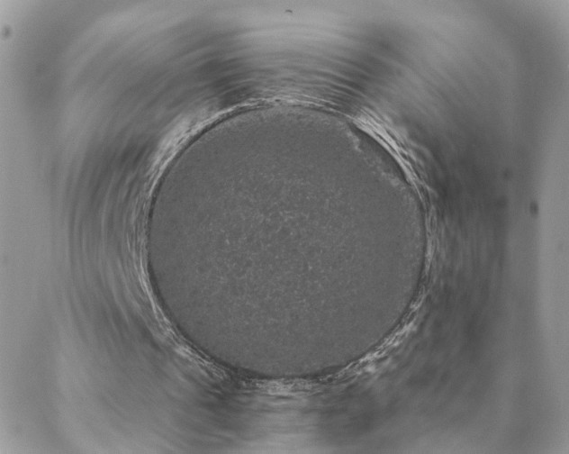 X0000088430241200705221254