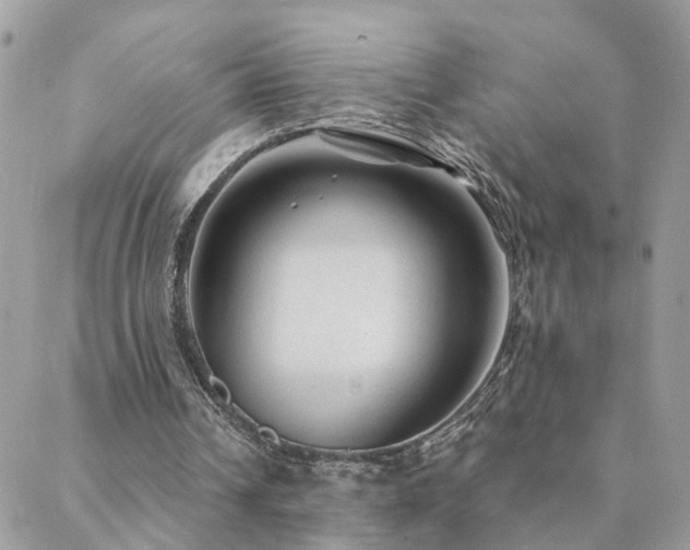 X0000088430242200705221254