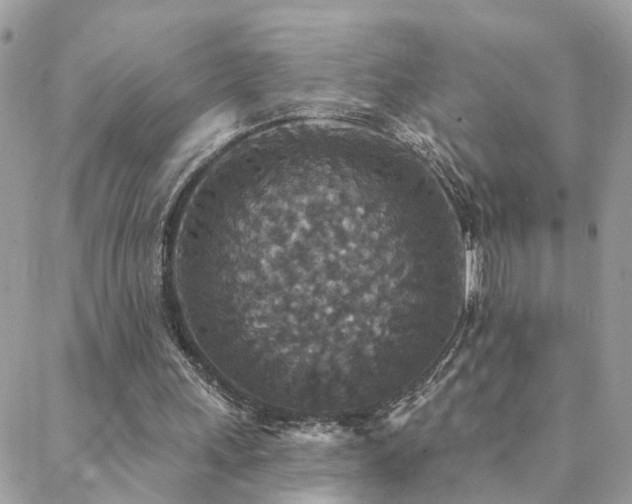 X0000088430243200705221254