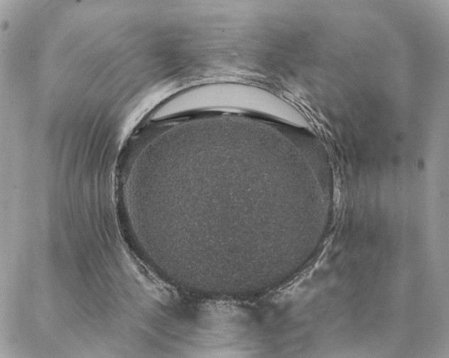 X0000088430244200705221254