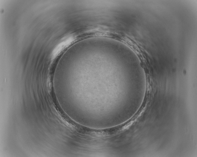 X0000088430245200705221254