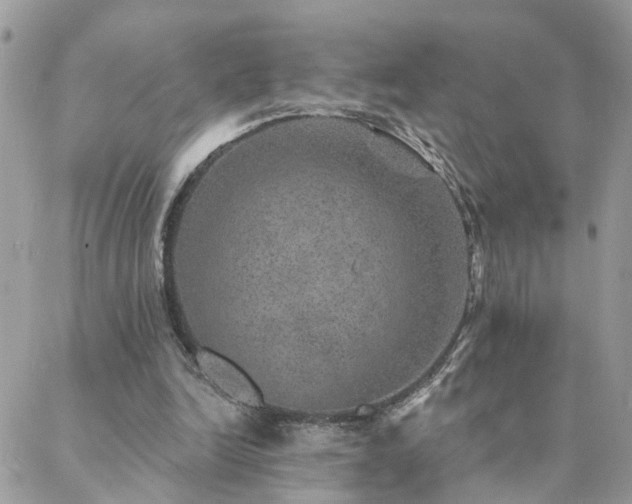 X0000088430246200705221254