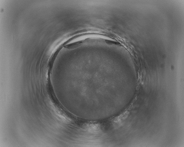 X0000088430247200705221254