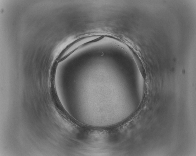 X0000088430248200705221254