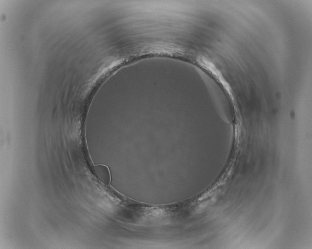 X0000088430249200705221254