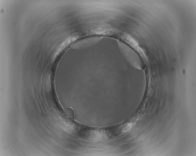 X0000088430250200705221254