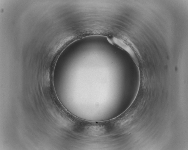 X0000088430251200705221254