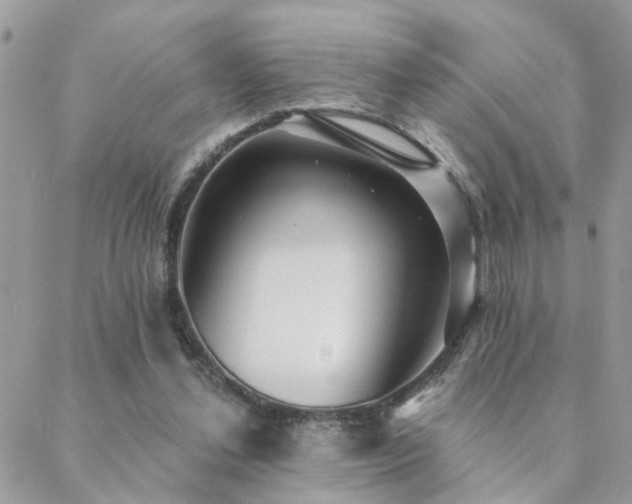 X0000088430252200705221254