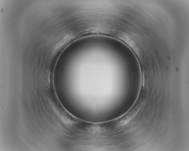 X0000088430253200705221254