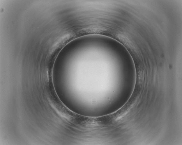 X0000088430254200705221254