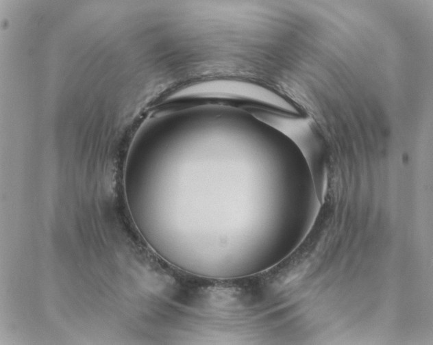 X0000088430255200705221254