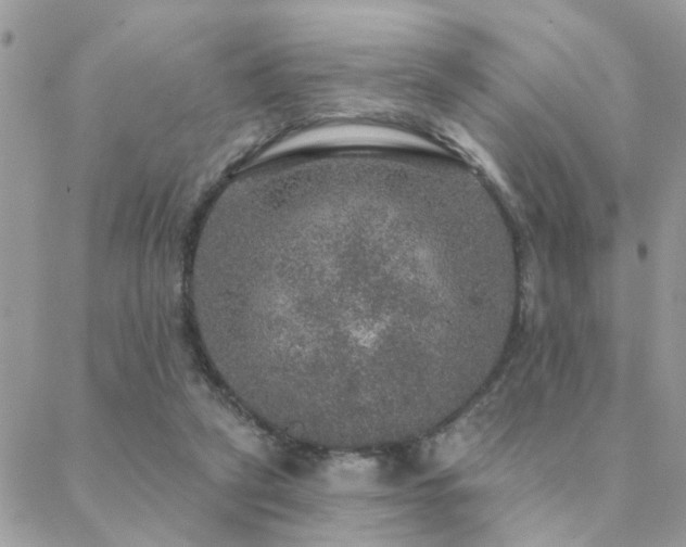 X0000088430257200705221254