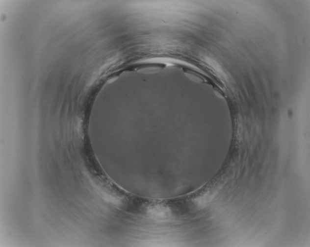 X0000088430258200705221254