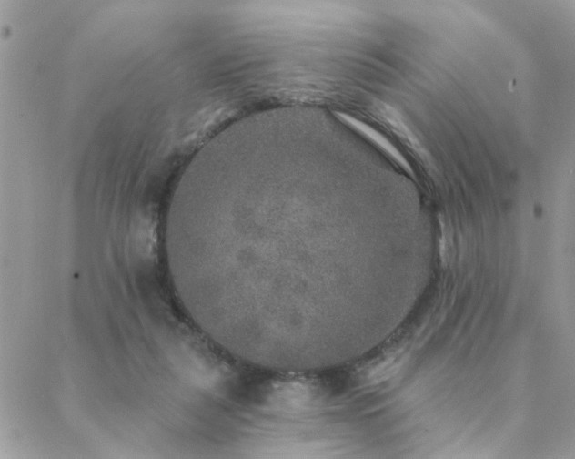 X0000088430259200705221254