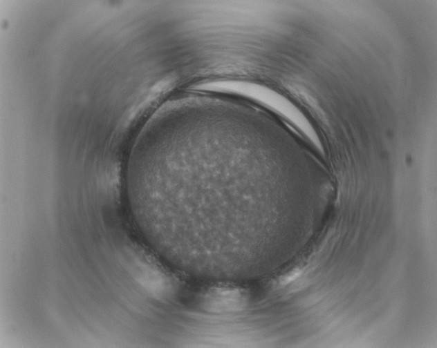 X0000088430260200705221254