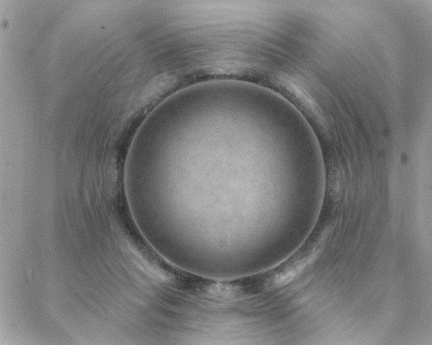 X0000088430261200705221254