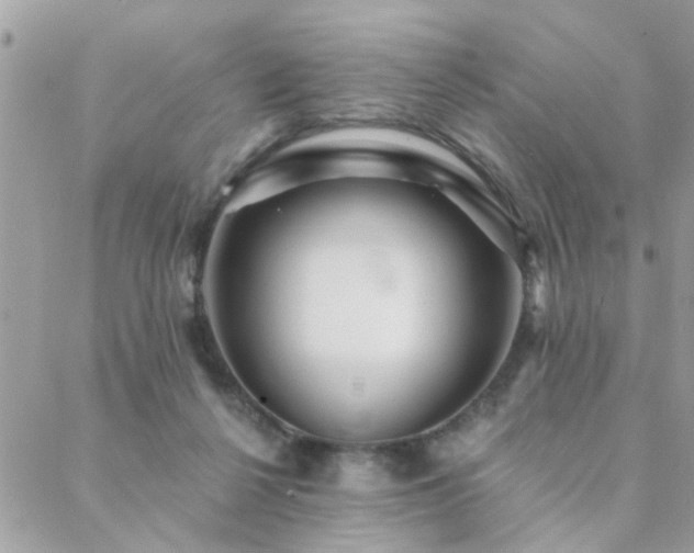 X0000088430264200705221254