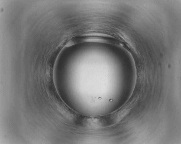 X0000088430265200705221254