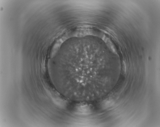 X0000088430267200705221254