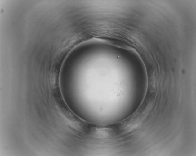 X0000088430268200705221254