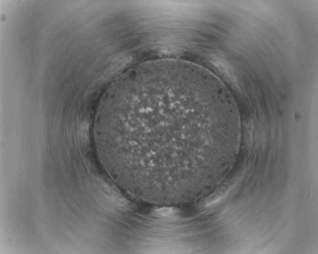 X0000088430269200705221254