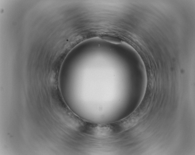 X0000088430270200705221255