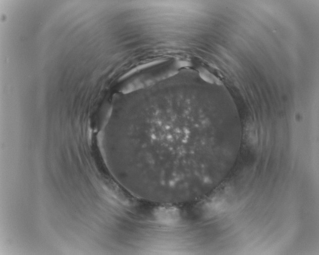 X0000088430271200705221255