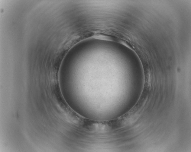 X0000088430272200705221255