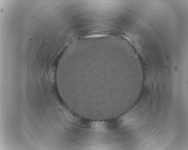 X0000088430273200705221255