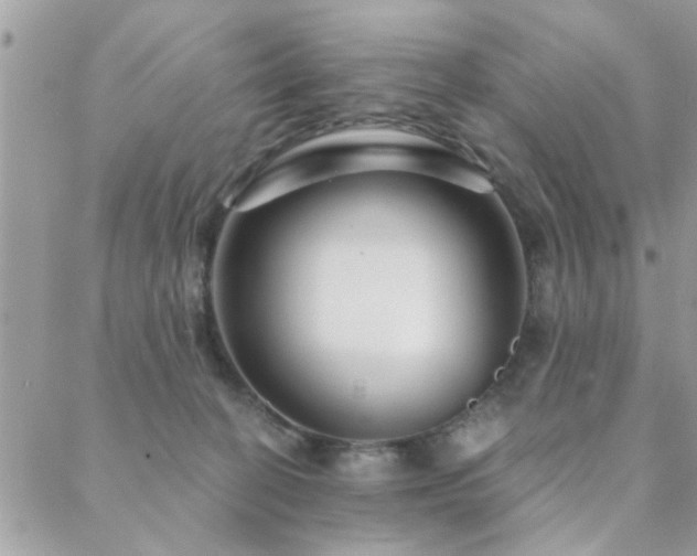 X0000088430274200705221255