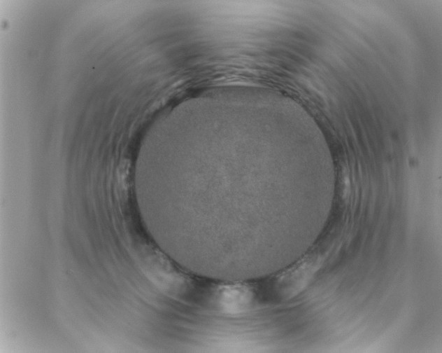 X0000088430275200705221255