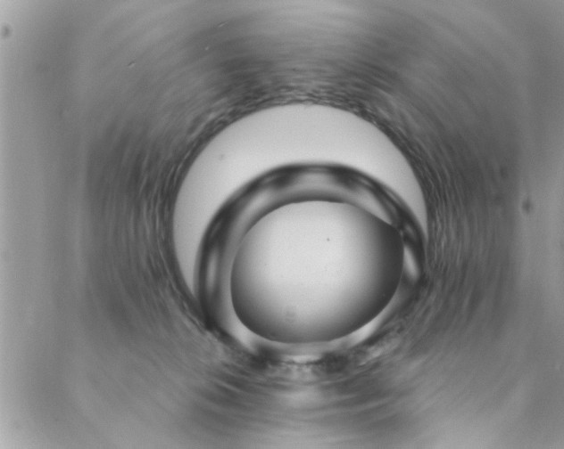 X0000088430276200705221255