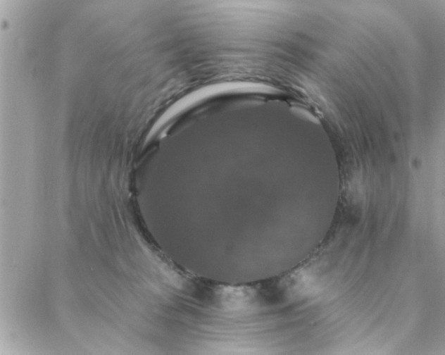 X0000088430277200705221255