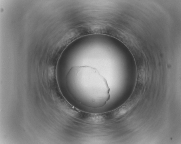 X0000088430278200705221255