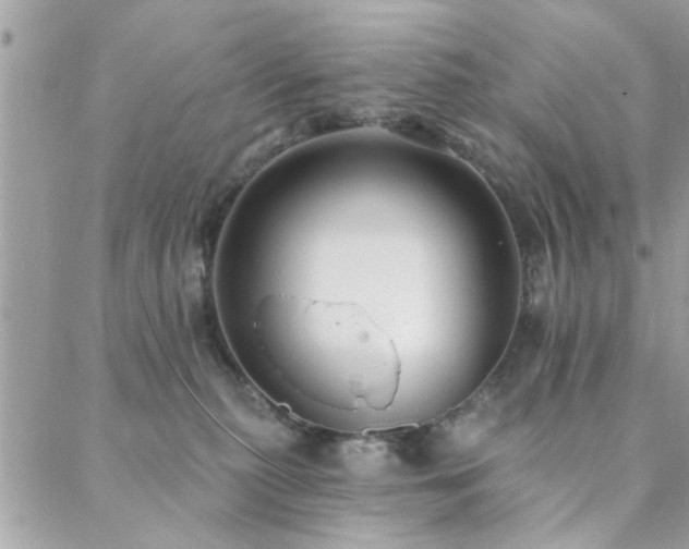 X0000088430279200705221255