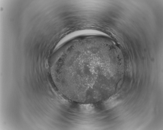 X0000088430281200705221255