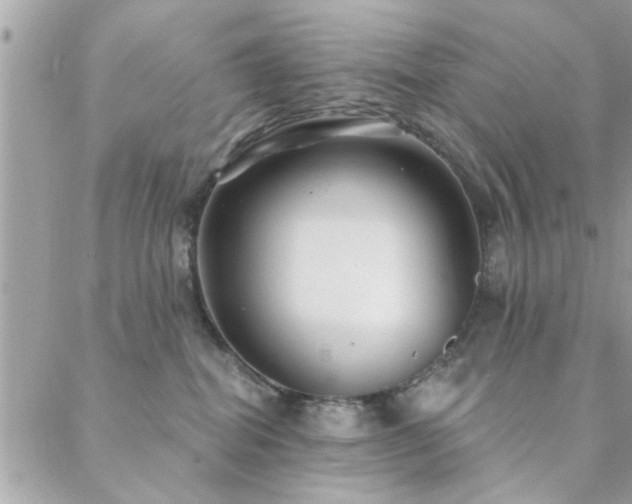 X0000088430282200705221255