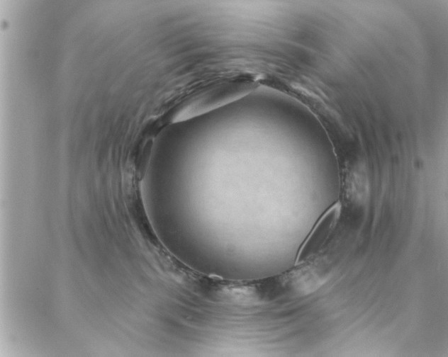 X0000088430283200705221255