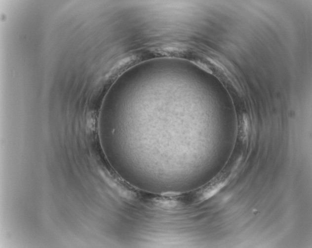 X0000088430284200705221255