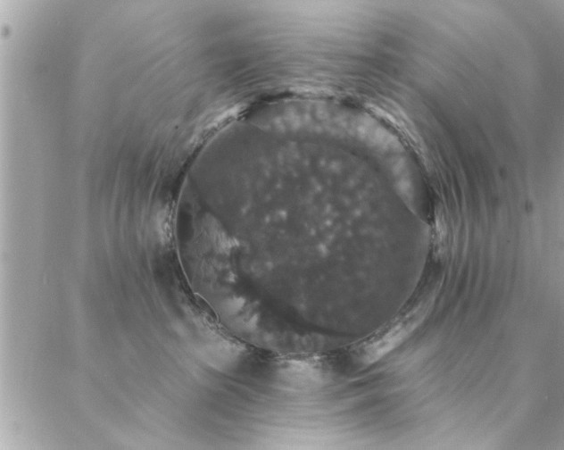 X0000088430285200705221255